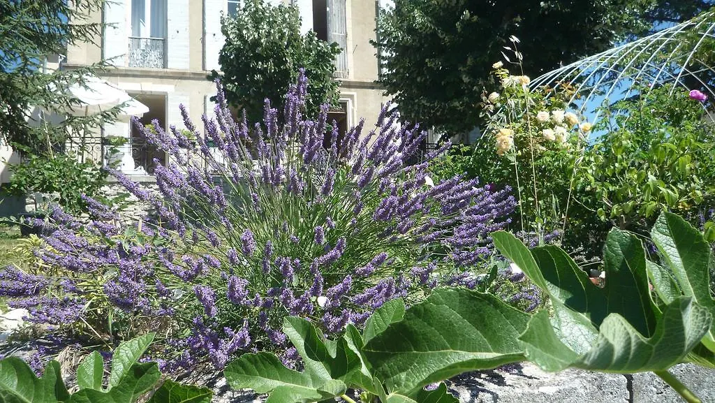 Holiday home Cottage Provencal - Villa Saint Marc Forcalquier