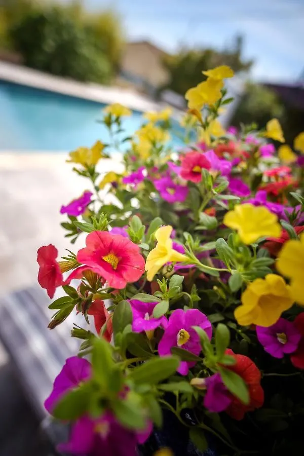 펜션 Cottage Provencal - Villa Saint Marc 포르칼퀴에르